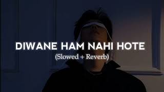 Deewane Ham Nahi Hote  Letest Hindi Sad Songs 2024  Slowed  Reverb [upl. by Pessa756]