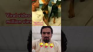 My reaction video funny 😃🤣😜 dog funypets funnydogs [upl. by Adnamor]