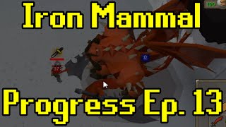 Oldschool Runescape  2007 Iron Man Progress Ep 13  Iron Mammal [upl. by Aljan694]