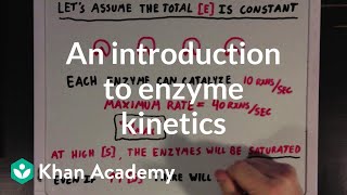 An introduction to enzyme kinetics  Chemical Processes  MCAT  Khan Academy [upl. by Asert603]