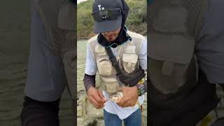 Pescando comelones 🎣🏔️fishing pescaria fish pescados pesca flyfishing pescadores [upl. by Nimaj]