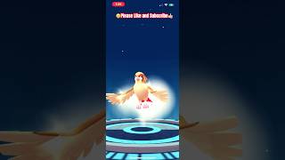 🌟Evolving Pidgeotto to Pidgeot pokemon pokemongo pidgeotto pidgeot fyp [upl. by Enitram561]