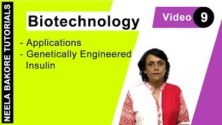 Biotechnology  NEET  Genetically Engineered Insulin  Neela Bakore Tutorials [upl. by Halimeda]