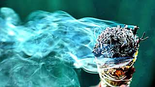 Study Shows How Smudging Does a Lot More Than “Clear Evil Spirits” [upl. by Nidorf]