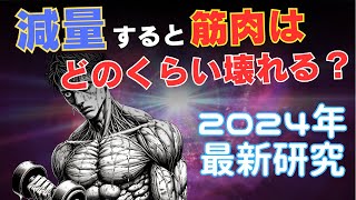 【筋トレ科学】減量すると筋肉はどのくらい壊れるの？ 2024年最新研究 [upl. by Yerag]