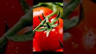 HOT WATER BADE MAJEDAR song 🍅🍅🍅🍅🍅🍅🍅🍅🍅🍅🍅🍅🍅🍅 [upl. by Margi]