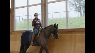 Dressage Training  How to Unlock Suppleness in Your Horse [upl. by Ondrea326]