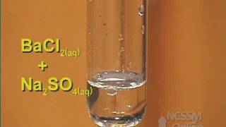 Double Displacement Sodium Sulfate and Barium Chloride [upl. by Oilicec35]