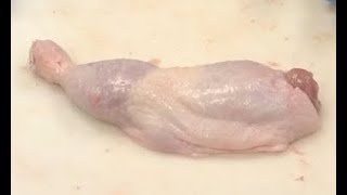 Deboning a Chicken legthigh quarter [upl. by Karoly]