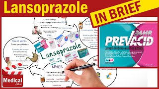 Lansoprazole  Prevacid  What is Lansoprazole Used For Dosage Side Effects amp Precautions [upl. by Hulda597]