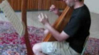 OCarolans LamentMatthew TranAdams Celtic harp [upl. by Nee]