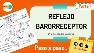 Reflejo Barorreceptor  Paso a paso ¡MUY FÁCIL PARTE 1 [upl. by Lasko]