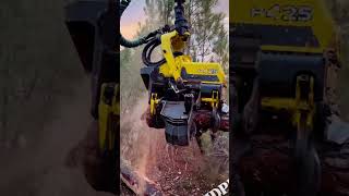 Forestry harvester in Action Power and Precision youtubeshorts farming harvesting harvesters [upl. by Trisa]