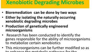 Xenobiotic compounds  Xenobiotics  Bioremediation and Biodegradation  AZ Concepts guide [upl. by Nalda]