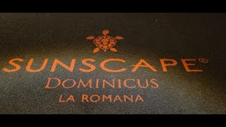 Sunscape Domincus La Romana April 2024 [upl. by Petromilli62]