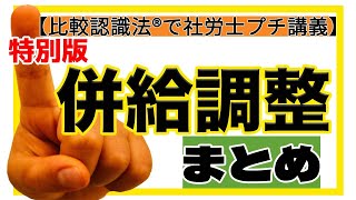 比較認識法®で社労士プチ講義【特別版】 併給調整まとめ [upl. by Symon131]