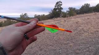 Javelina Archery Hunt [upl. by Ahseinod]