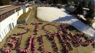 Anti Bullying Day Timelapse  Fruitvale Elementary School [upl. by Camille992]