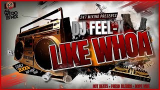 Dj Feel X  Like Whoa 🔥 HipHop and RampB DJ Blend Mix [upl. by Damiani]