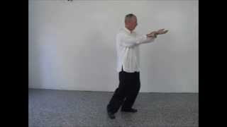 Tai Chi for Arthritis with Part 2  41 Form performed by Mike Soric [upl. by Guillermo]