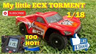 118th ECX TORMENT  HORIZON HOBBY  rccars ecx rc [upl. by Nosduh300]