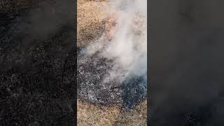 Process of making of Kashmiri charcoal for traditional firepot Kangri sopore kashmir kangri [upl. by Birgit54]