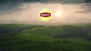 Lipton Yellow Label Lithuania [upl. by Gesner]