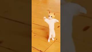 CUTE CAT DANCE youtubeshorts [upl. by Anigue564]