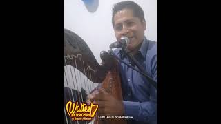 Walter Berrospi El Jaranero Ancashino En vivo [upl. by Margareta]