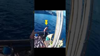 fishing tuna fishline pole and line fishing yellowfintuna youtubeshorts shortvideo shorts [upl. by Animsaj]