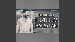 Erzurum Halayları Karsa Giderim Ağlaram Yane Yane [upl. by Oppen]