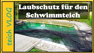 Blätter im Teich Wir testen die einfache Lösung mit dem Laubnetz [upl. by Haisa475]