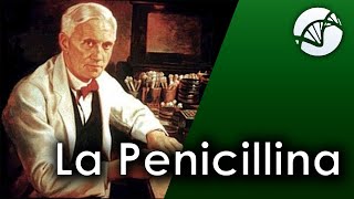 Alexander Fleming e la scoperta della Penicillina 💊 [upl. by Fielding]