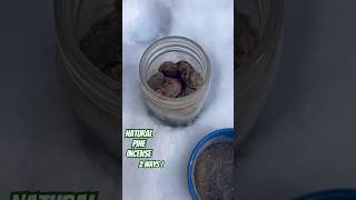 Natural Pine Resin Incense Easy DIY Methods  shorts nature [upl. by Enitnemelc916]