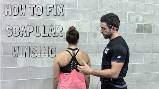 How to Fix Scapular Winging  A Case Study with Exercises [upl. by Anawed]