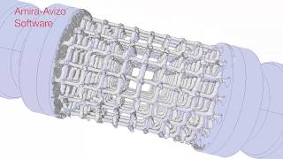 Avizo for Additive Manufacturing  Additively manufactured scaffold [upl. by Teddi984]