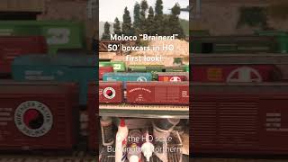 Moloco “Brainerd” 50’ boxcars in HO scale  first look modelrailroad train hoscale boxcar [upl. by Khano]