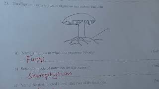 Biology paper 1 Quick revision Questions and Answers ❤️milkahwambui6693 [upl. by Laktasic]