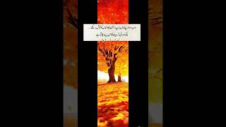 Marad ki tarbiyat Noorislamicpage07 quotes ytshorts viralshorts trending [upl. by Yllor]