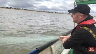 Disappearing fish Self launched herring netting Beach boat sea fishing [upl. by Gorrian]