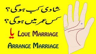 Palmistry Reader In Urdu Hindi  Palmistry Marriage Line Love Or Arranged  Palm Reading [upl. by Nuawaj]