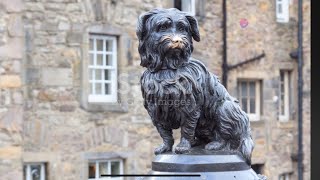 Ghost of Greyfriars Bobby The Loyal Spirit [upl. by Zeus]