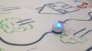 Ozobot Bit  Little Red Riding Hood Video [upl. by Garvey]