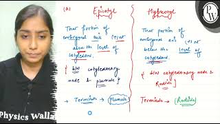 Differentiate between a hypocotyl and epicotyl b coleoptile and coleorrhiza c integumen [upl. by Yttocs]