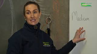 Equine Digestion amp Nutrition with Crea English  Farm Walk And Talk [upl. by Aniela]