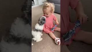 Best bond between dogs and babies 😍 [upl. by Deonne126]