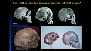 CARTA The Origin of Us  Fossils of Modern Humans Interbreeding within and outside of Africa [upl. by Yramliw]