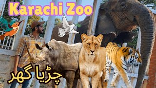 Karachi Zoo Garden 2024  Hathi Mera Saathi Or Babbar Sher 😍  Daily Vlogs [upl. by Ethelstan878]