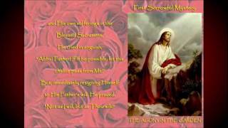 Rosary Novena  Sorrowful Mysteries  In Petition [upl. by Lorelie880]