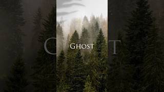 The Most Famous Ghost Story From Ancient Rome history halloween2023 halloween [upl. by Lisha]